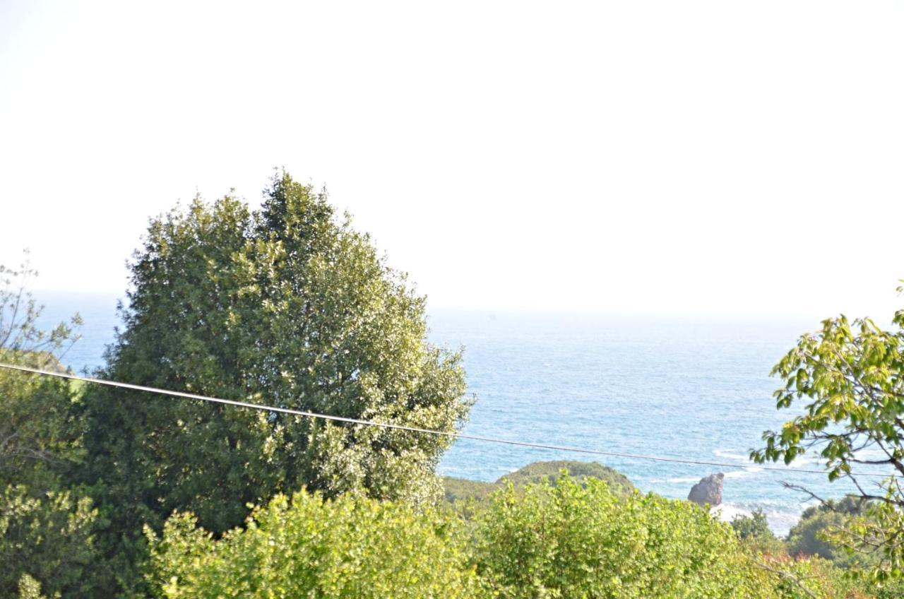 Villa La Atalaya Llanes Dış mekan fotoğraf